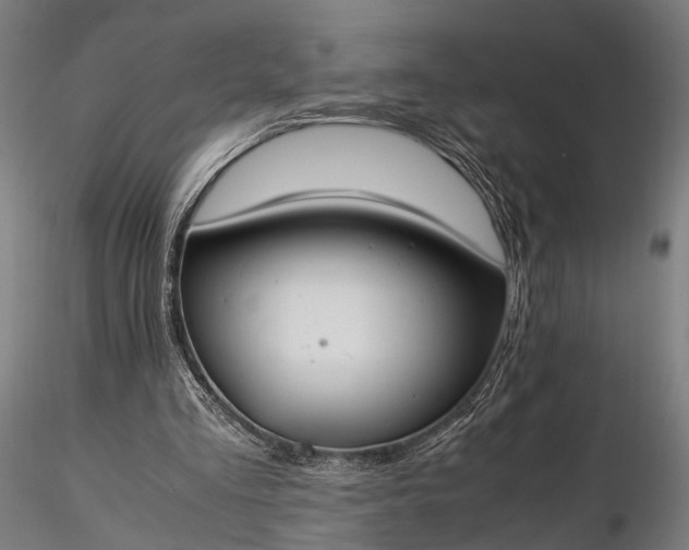 X0000116290293200912141318