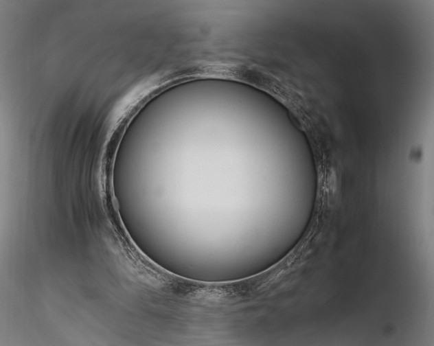 X0000116290294200912141318