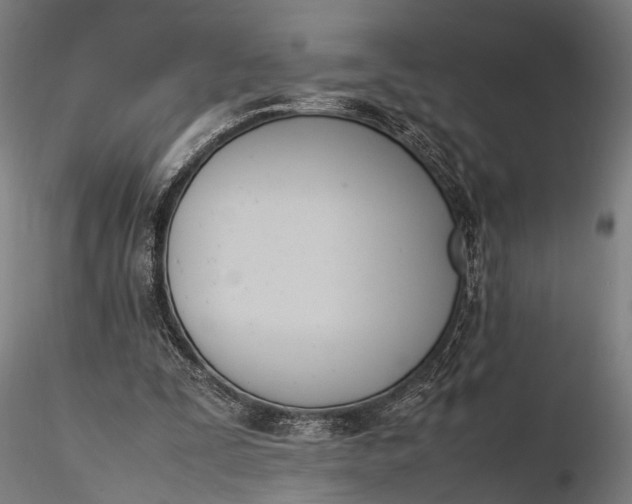 X0000116290295200912141318