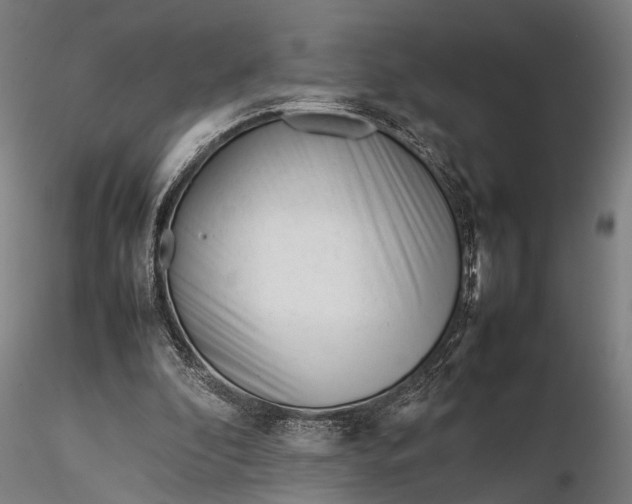 X0000116290296200912141318