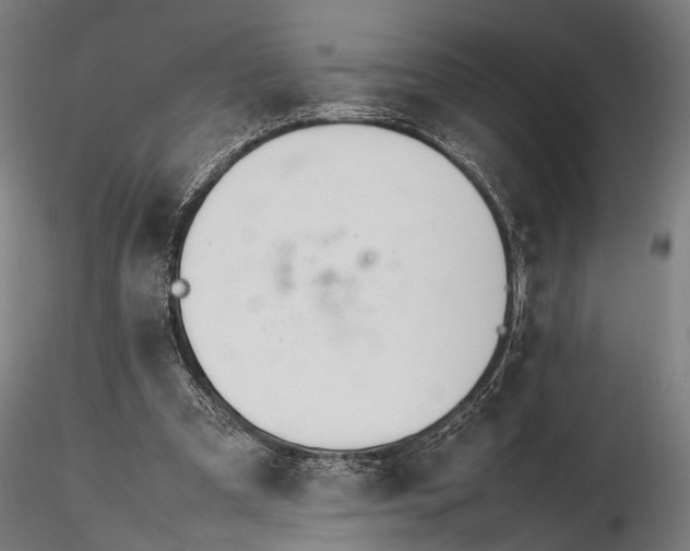 X0000116290297200912141318