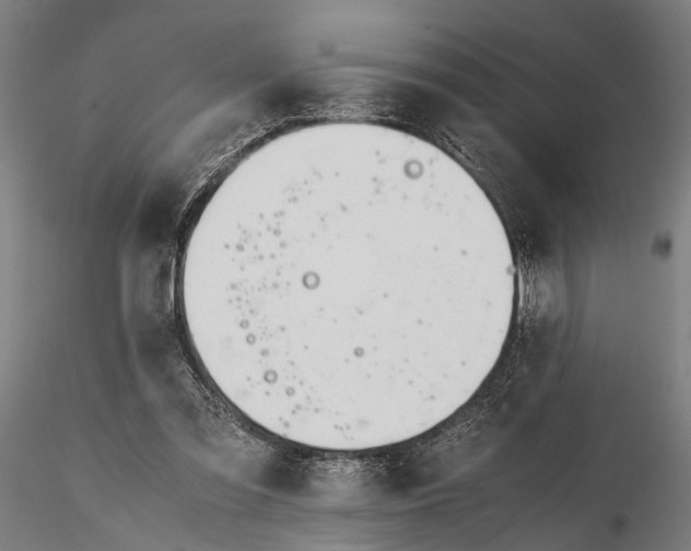 X0000116290301200912141318