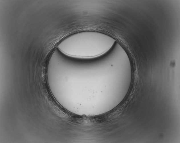 X0000116290305200912141318