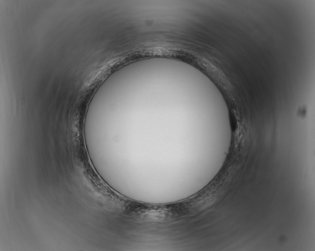 X0000116290306200912141318