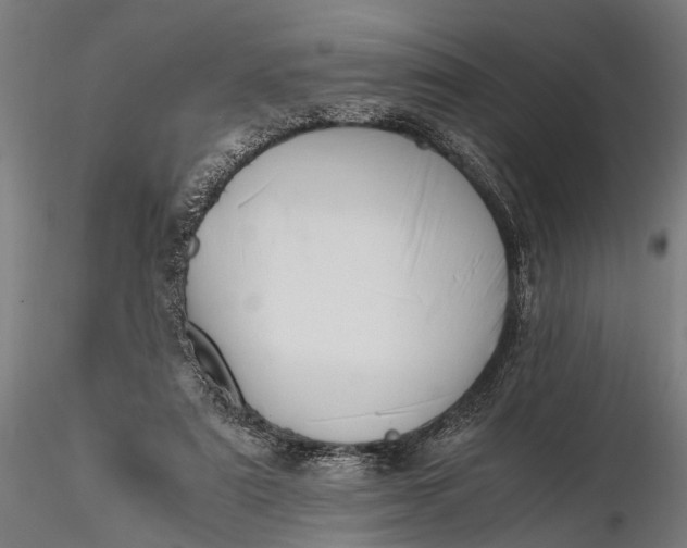 X0000116290307200912141318