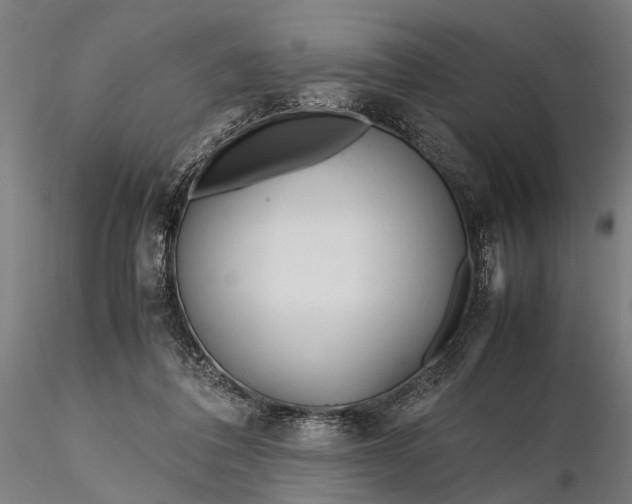 X0000116290308200912141318