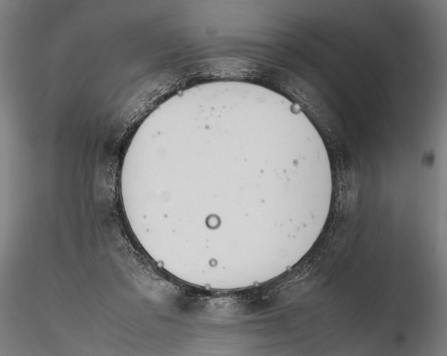 X0000116290309200912141318