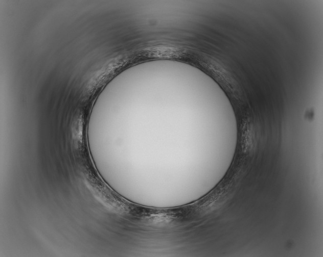 X0000116290310200912141318