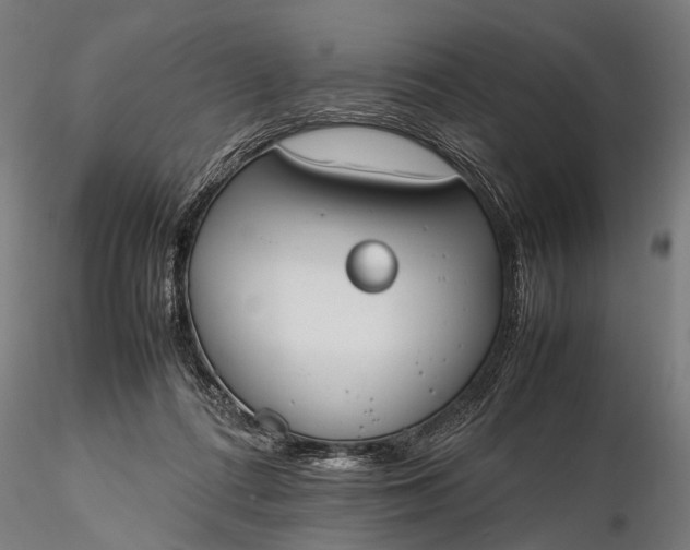 X0000116290312200912141318