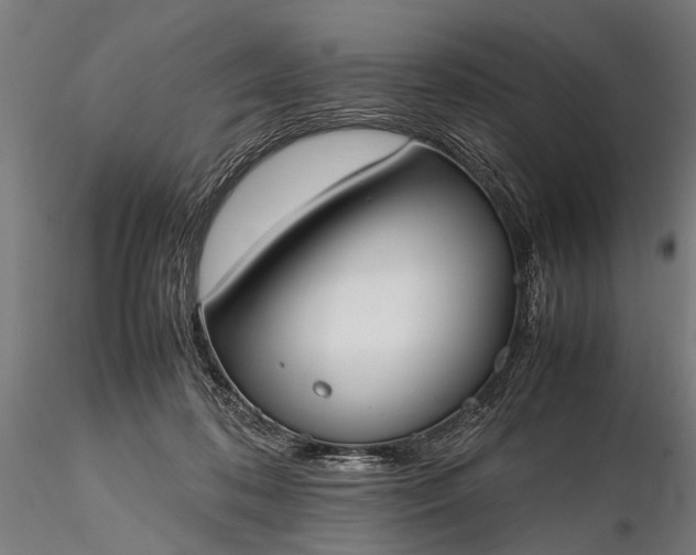 X0000116290316200912141318