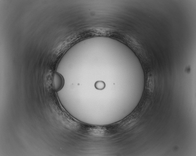 X0000116290318200912141318