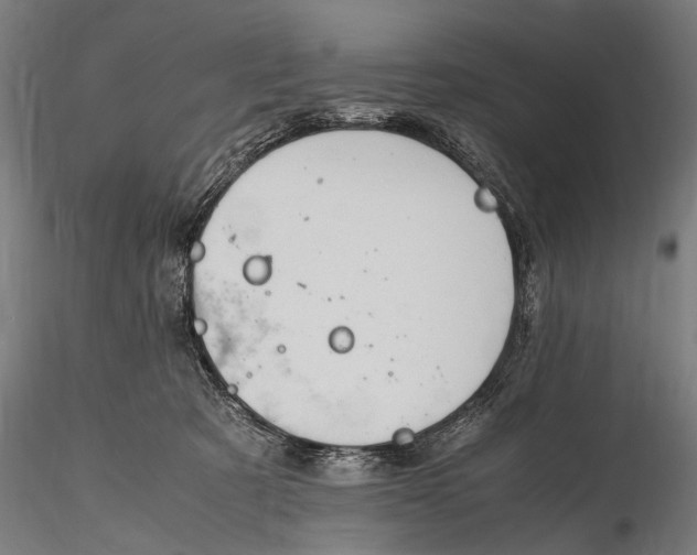 X0000116290321200912141318