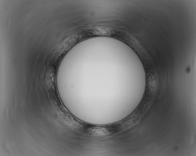 X0000116290322200912141318