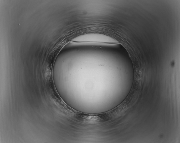 X0000116290324200912141318