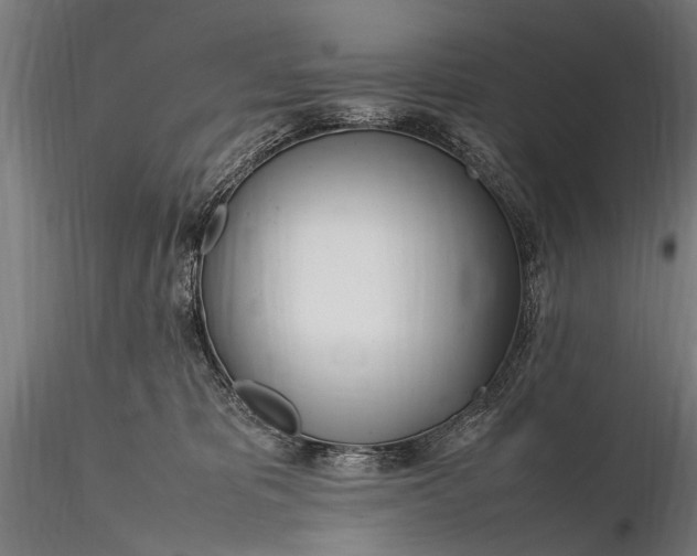 X0000116290325200912141318