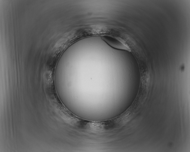 X0000116290327200912141318