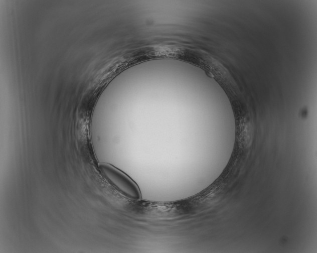 X0000116290329200912141318