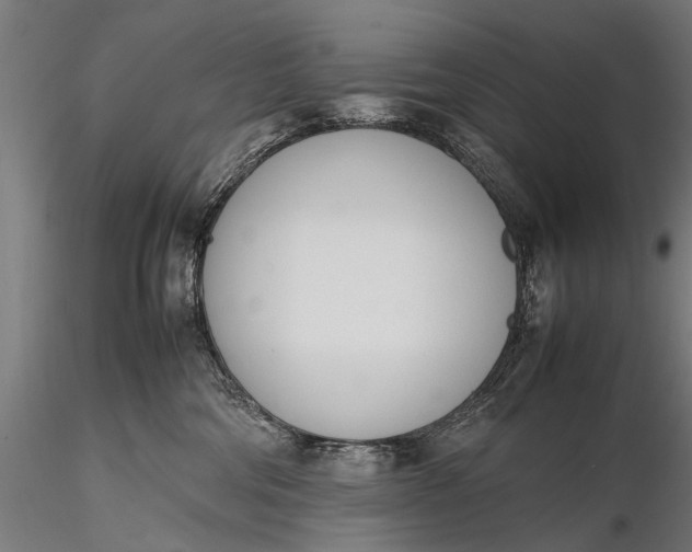 X0000116290330200912141318