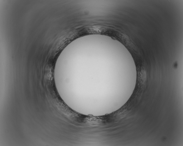 X0000116290331200912141318