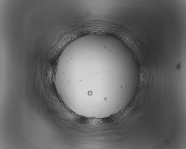 X0000116290333200912141318