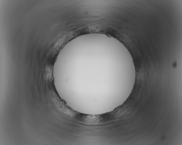 X0000116290335200912141318