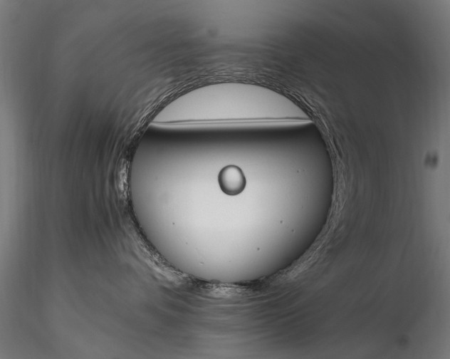 X0000116290336200912141318