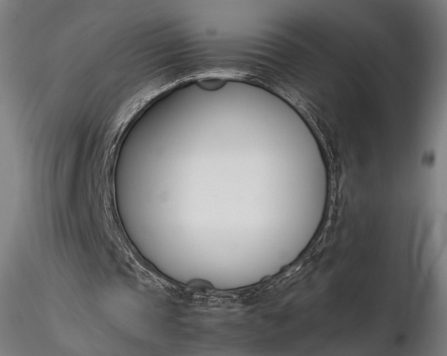 X0000116290337200912141317