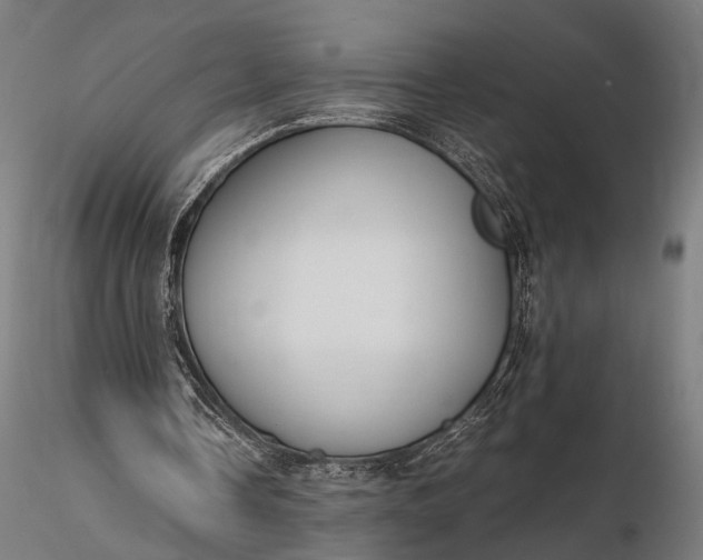 X0000116290338200912141317