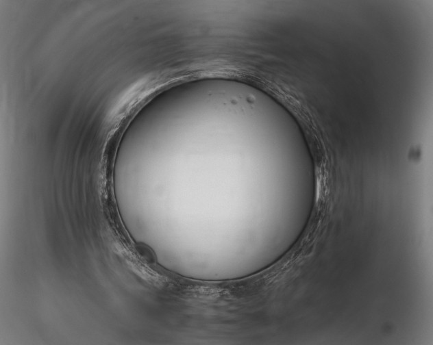 X0000116290339200912141317