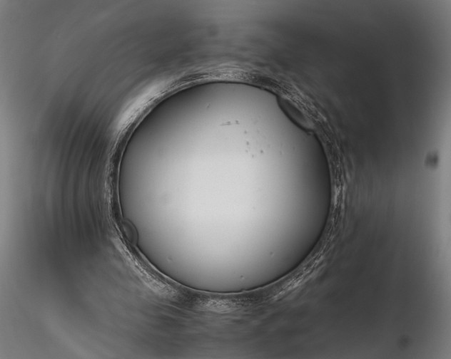 X0000116290341200912141317