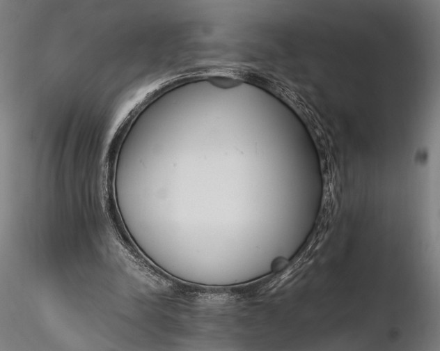 X0000116290342200912141317