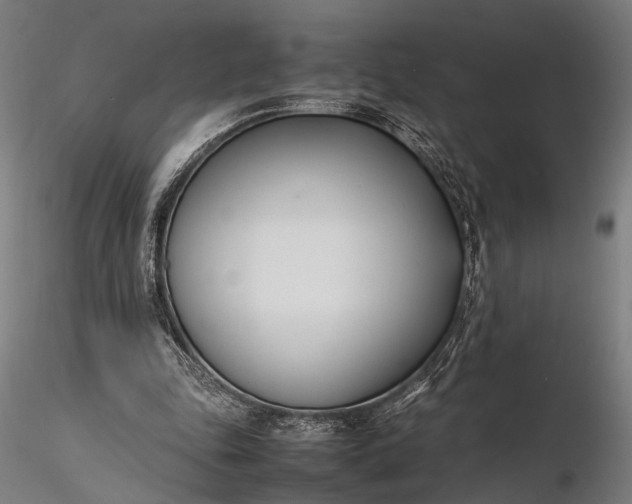 X0000116290343200912141317