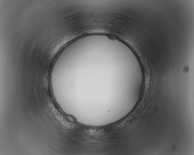 X0000116290345200912141317