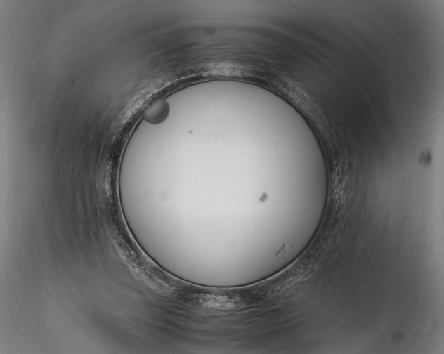 X0000116290347200912141317