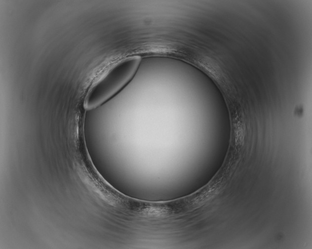 X0000116290350200912141317