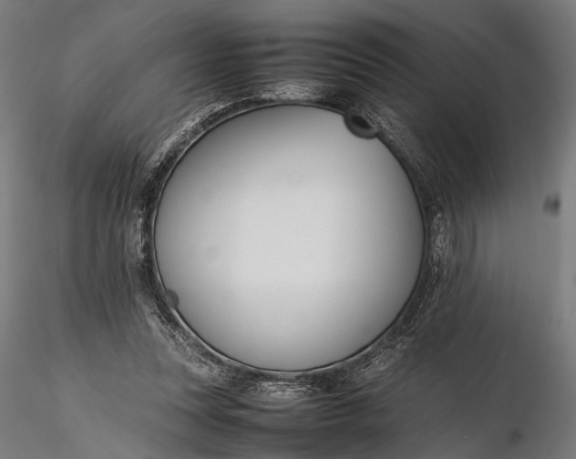 X0000116290351200912141317