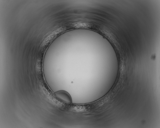 X0000116290353200912141317