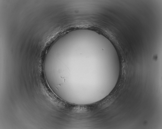 X0000116290354200912141317