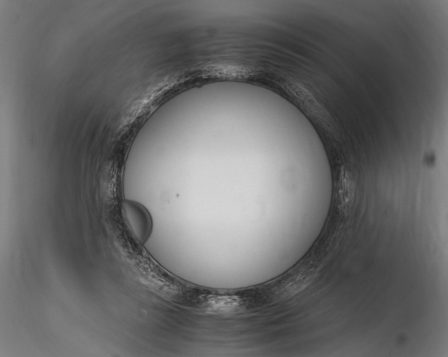 X0000116290355200912141317