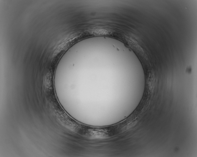 X0000116290359200912141317