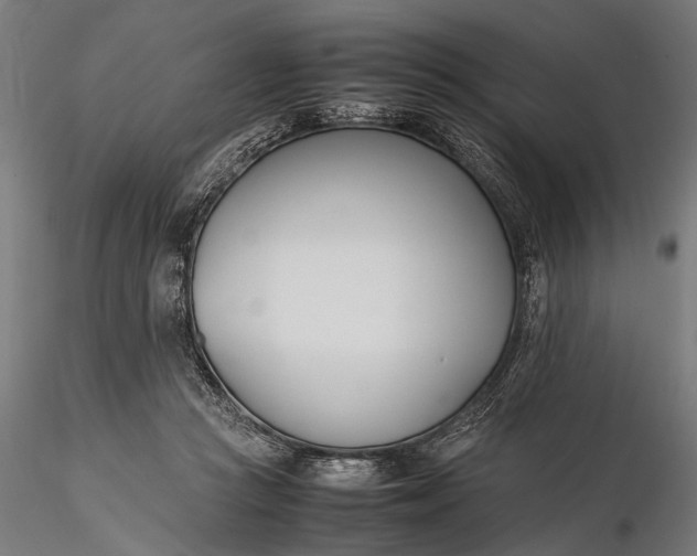 X0000116290361200912141317