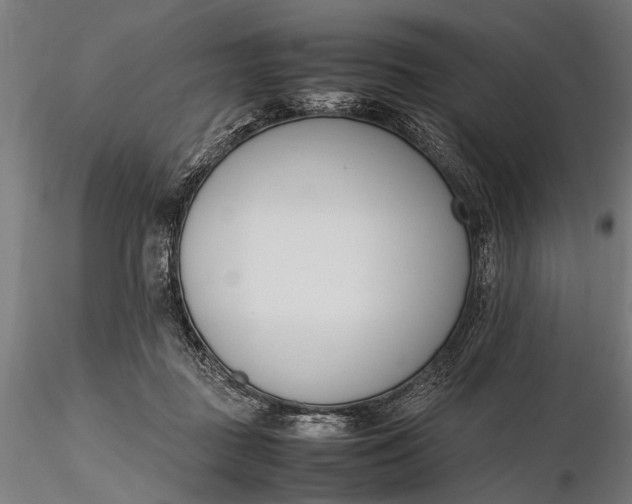 X0000116290363200912141317