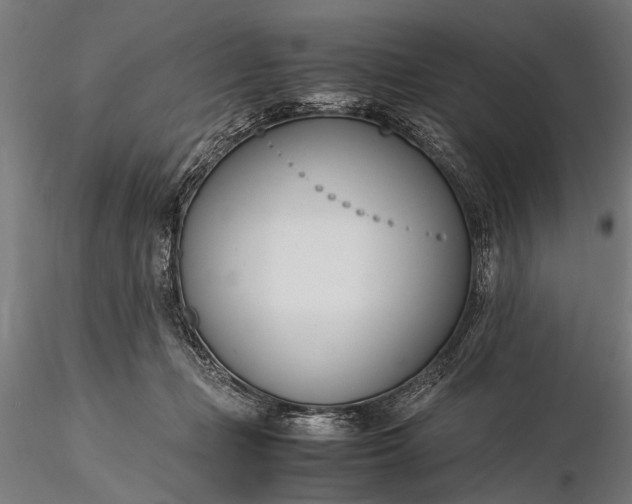 X0000116290365200912141317