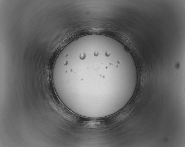 X0000116290366200912141317