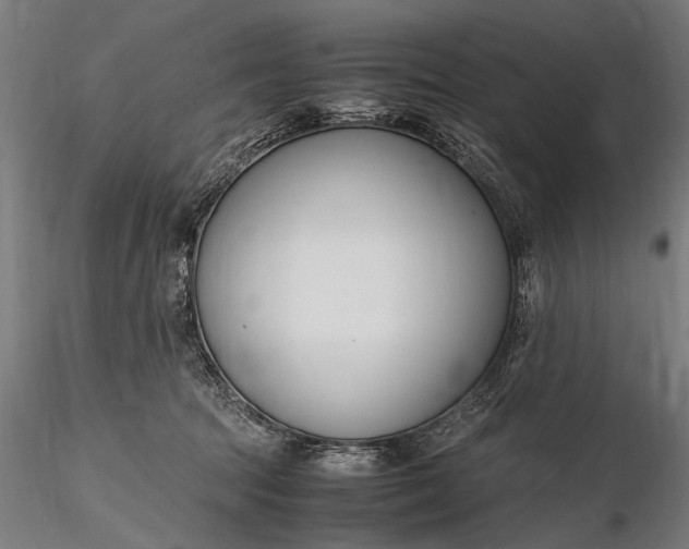 X0000116290369200912141317