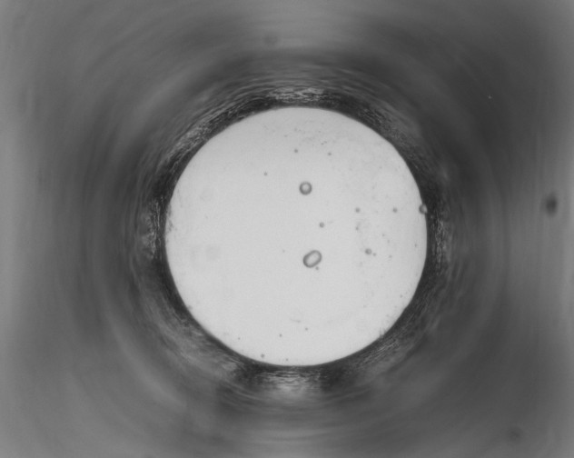 X0000116290370200912141318