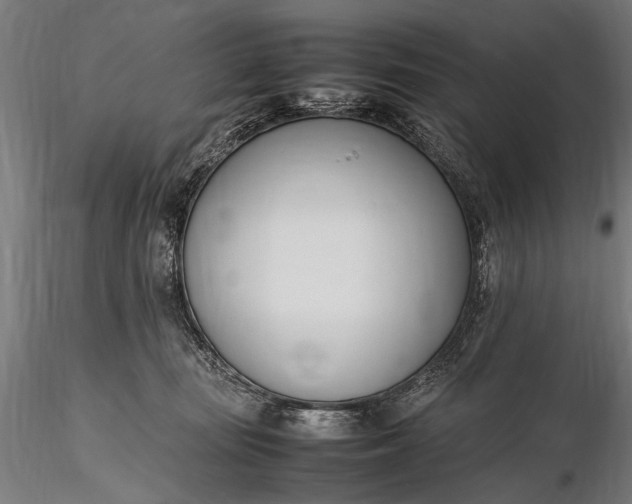 X0000116290371200912141318