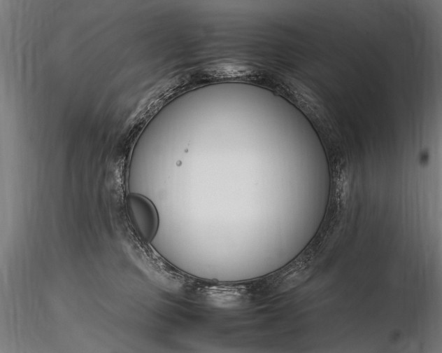 X0000116290373200912141318