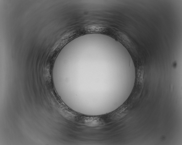 X0000116290377200912141318