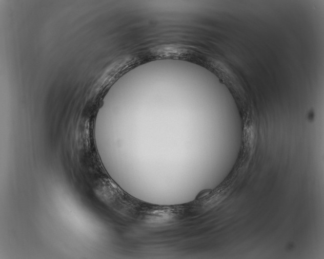 X0000116290381200912141318